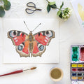 Butterfly No. 36 Print 8x10