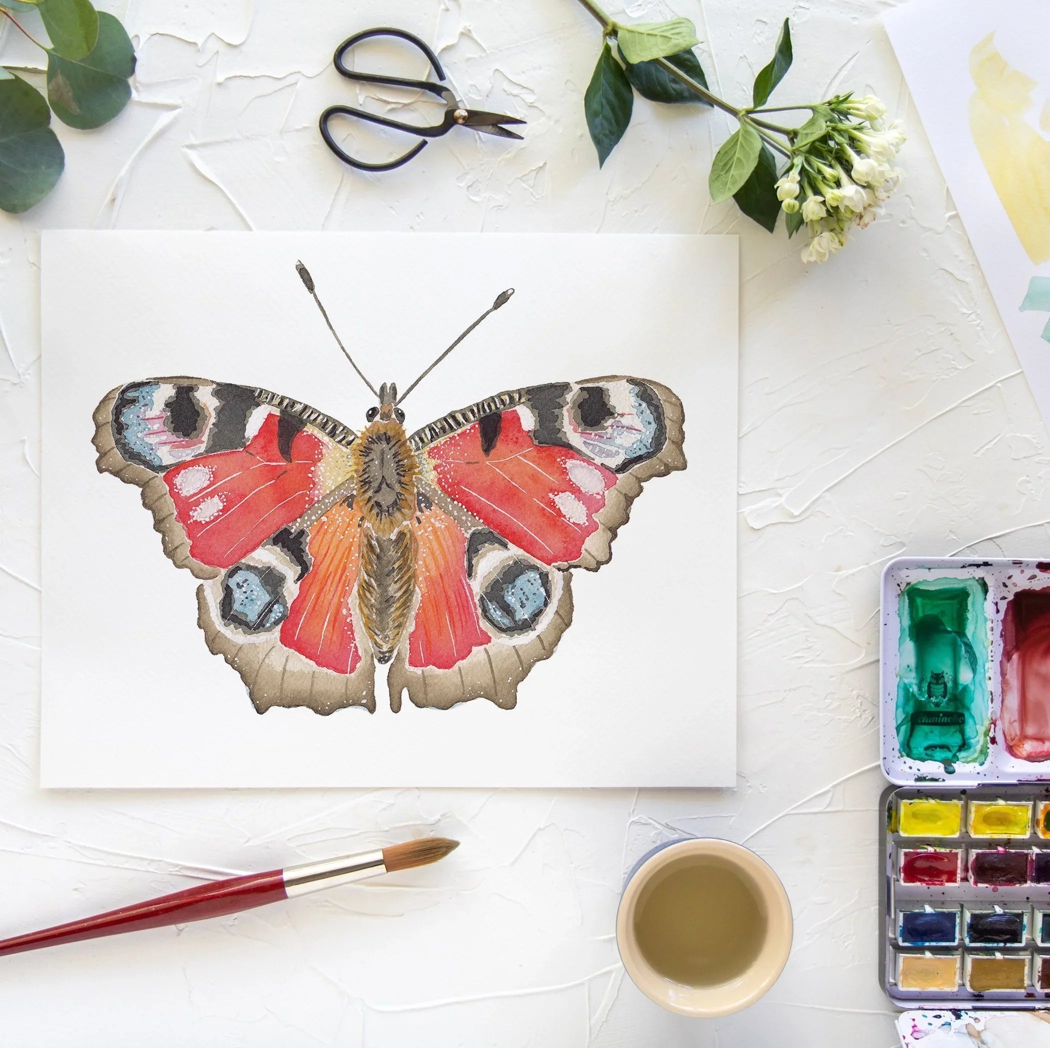 Butterfly No. 36 Print 8x10