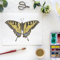 Butterfly No. 37 Print 8x10