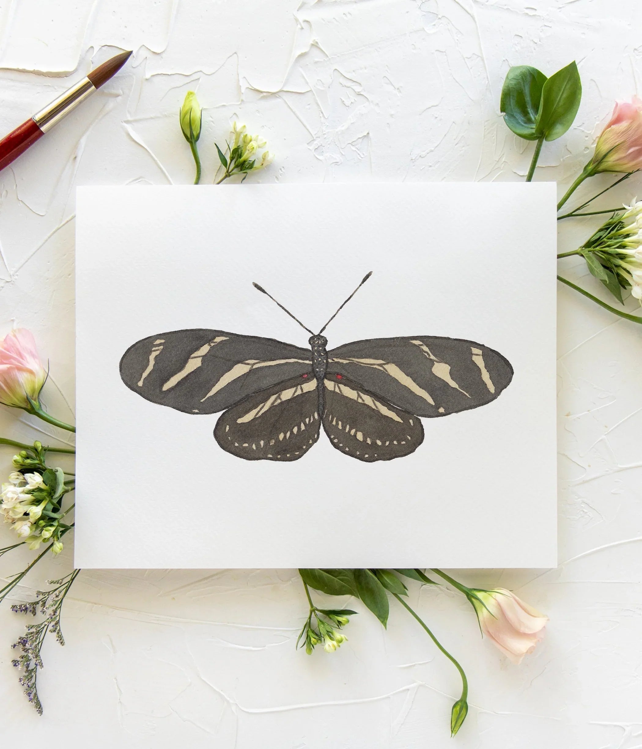 Butterfly No. 38 Print 8x10