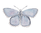 Blue Butterfly Acrylic Art Block Small