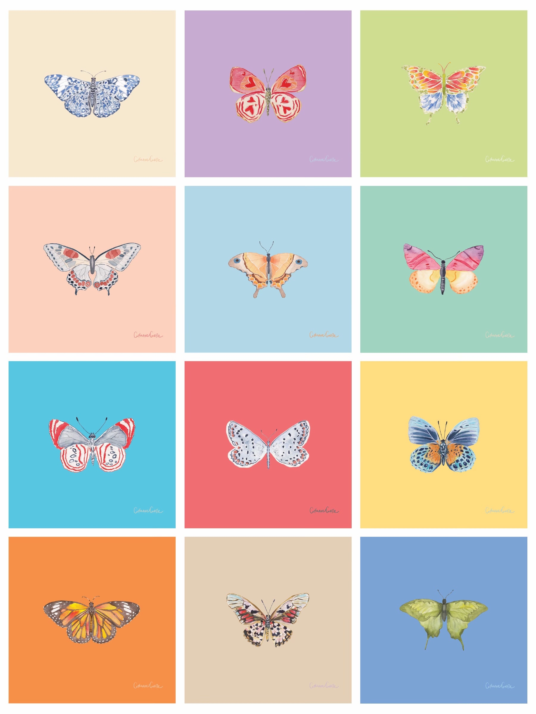 2027 Butterflies Calendar