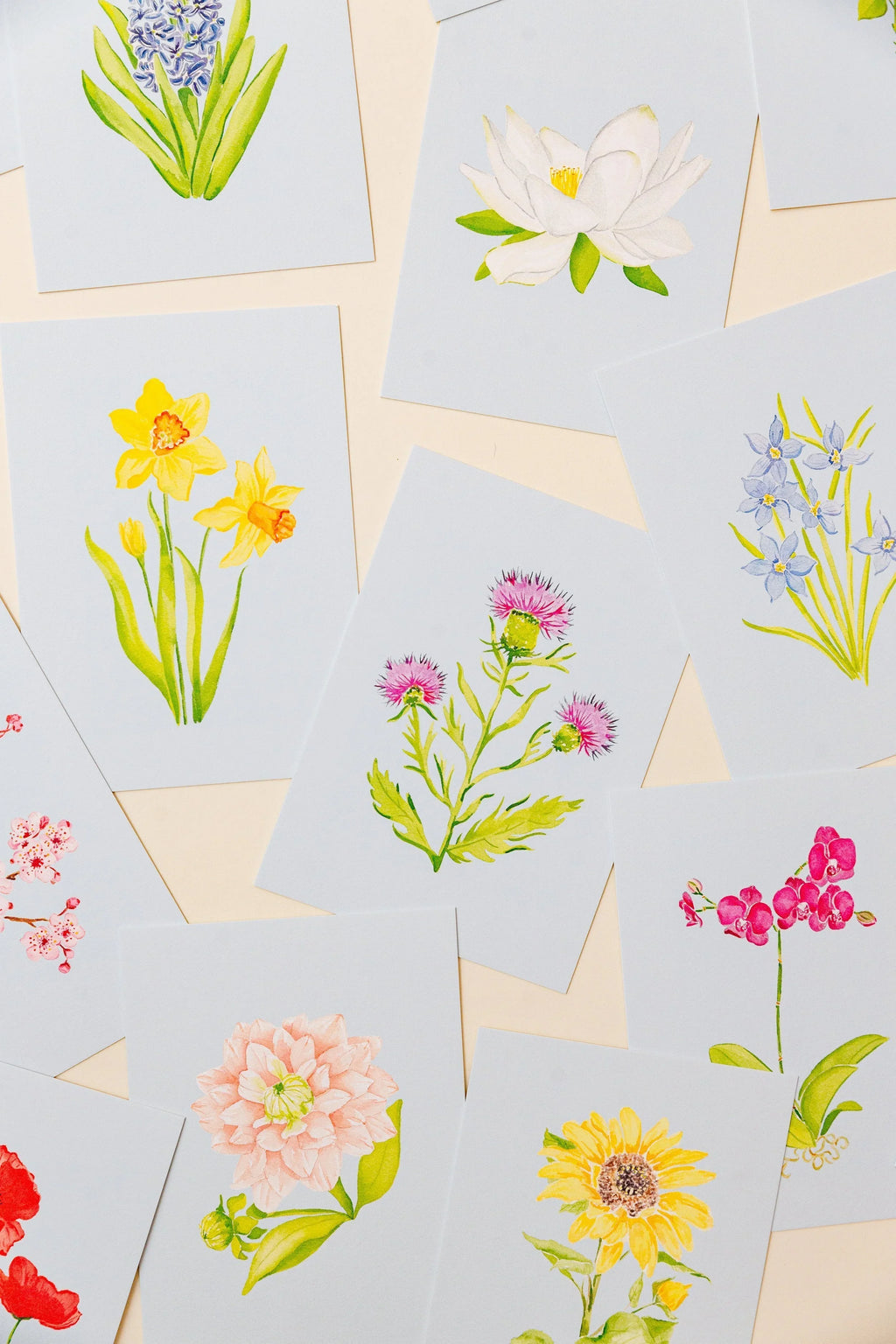Blue Botanical 5x7 Prints - Azalea