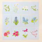 Blue Botanical 5x7 Prints - Blue Eyed Grass