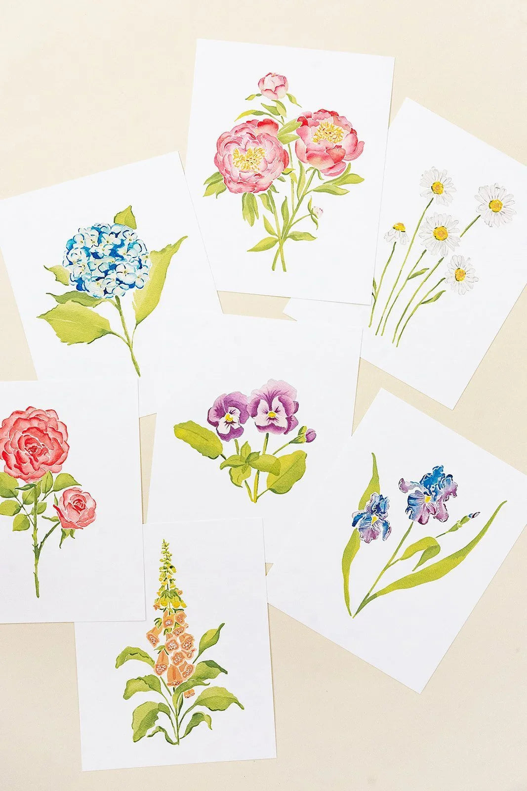 Botanical Art Prints 8x10 - Tulip