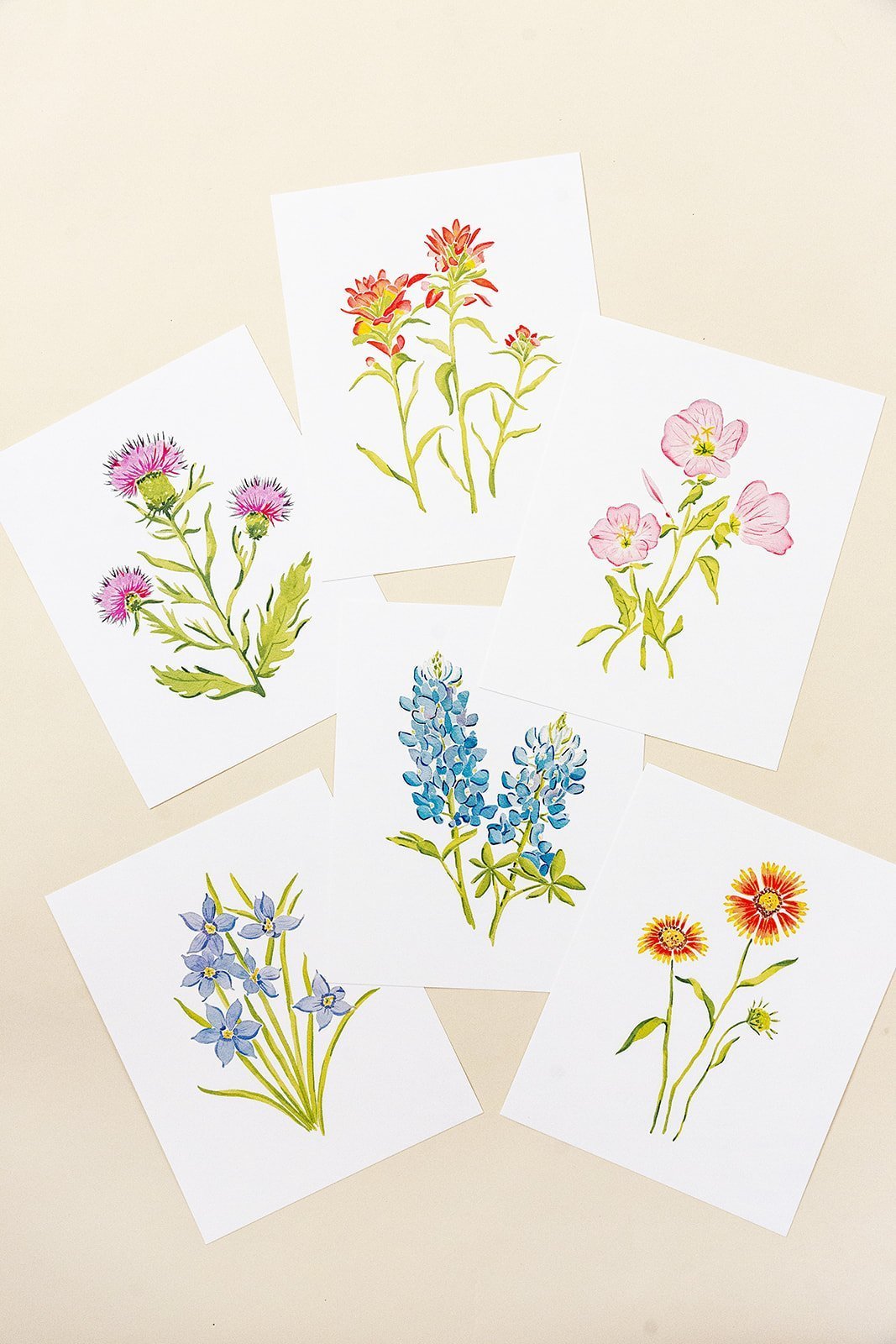 Botanical Art Prints 8x10 - Hydrangea