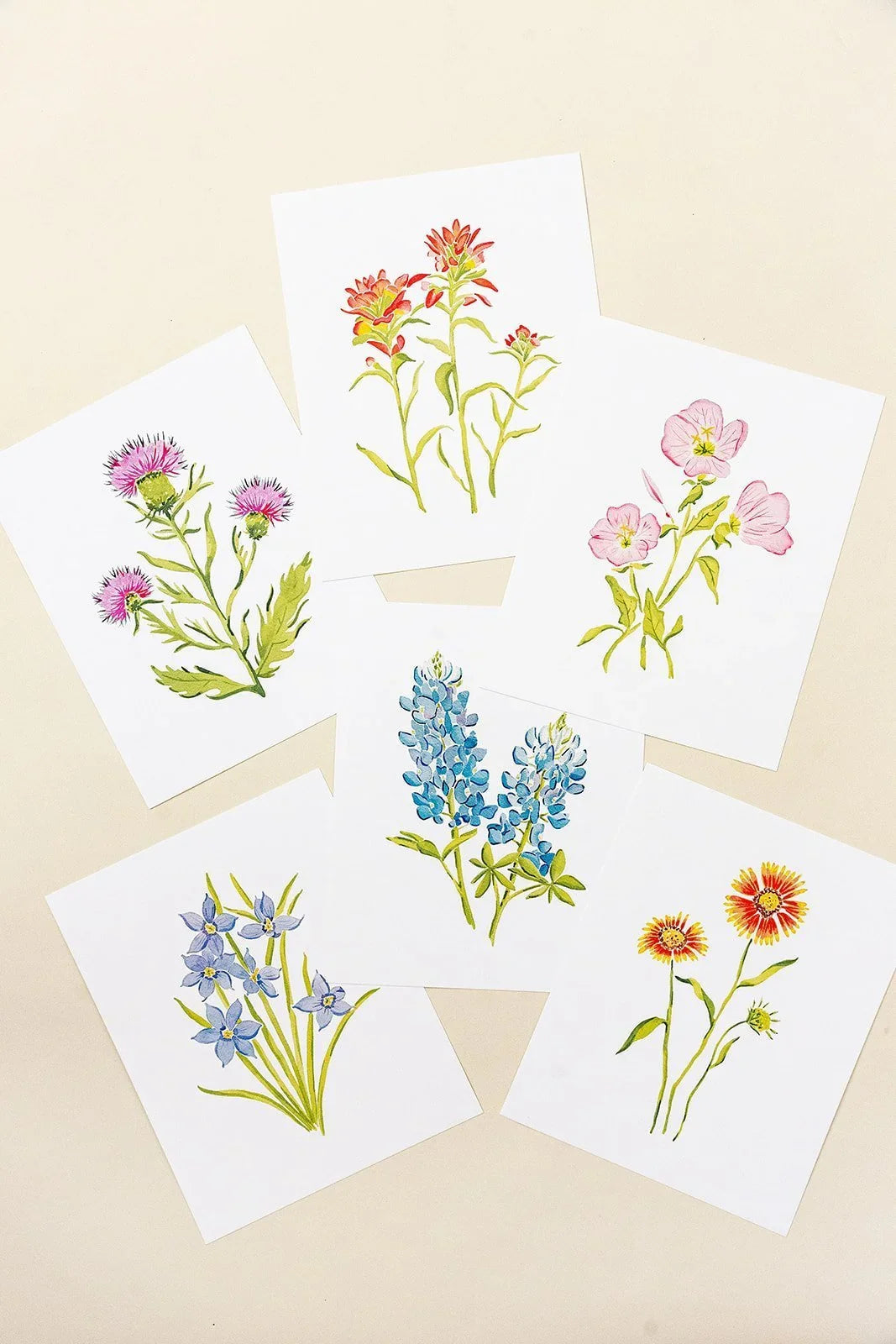 Botanical Art Prints 8x10 - Iris