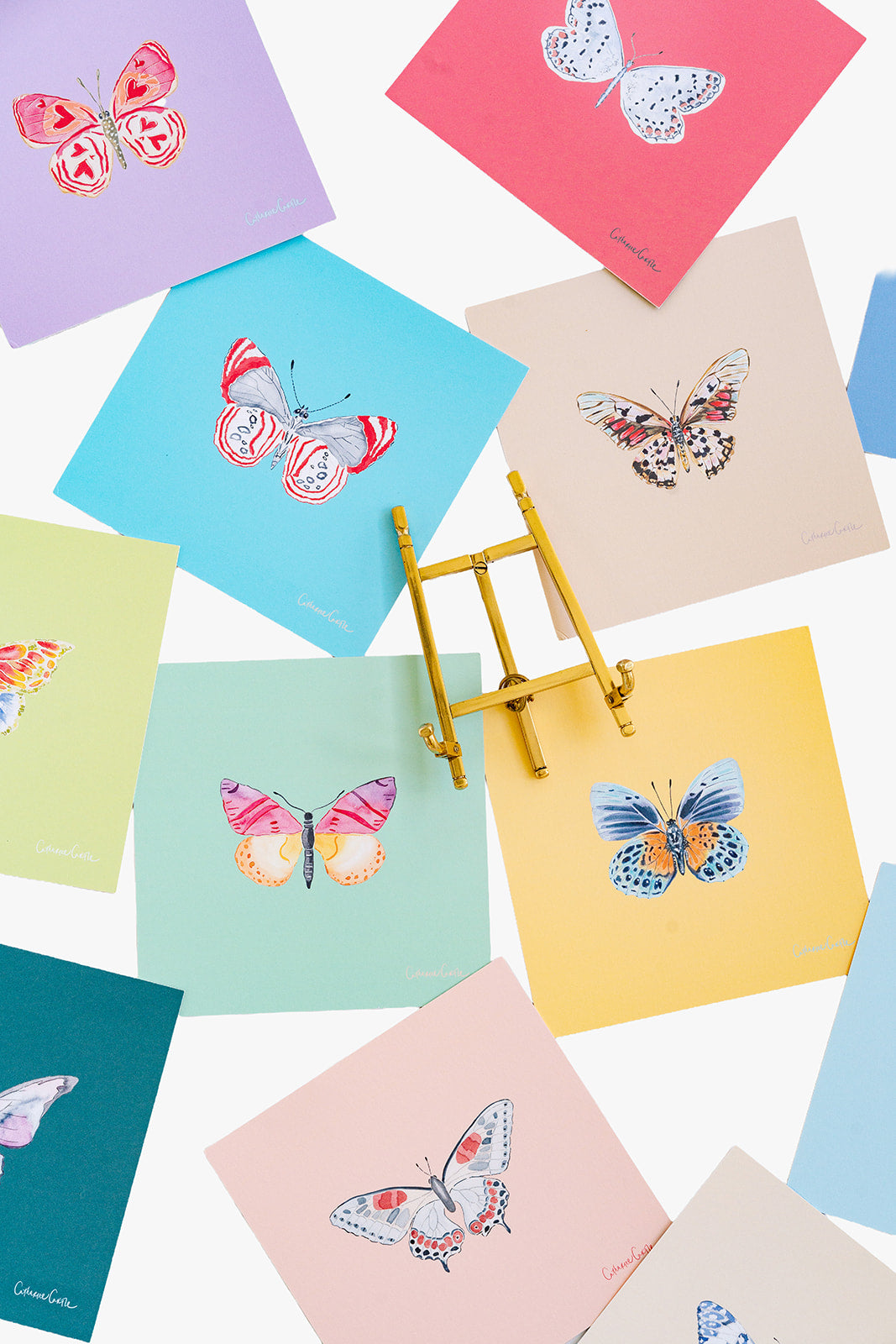 2027 Butterflies Calendar