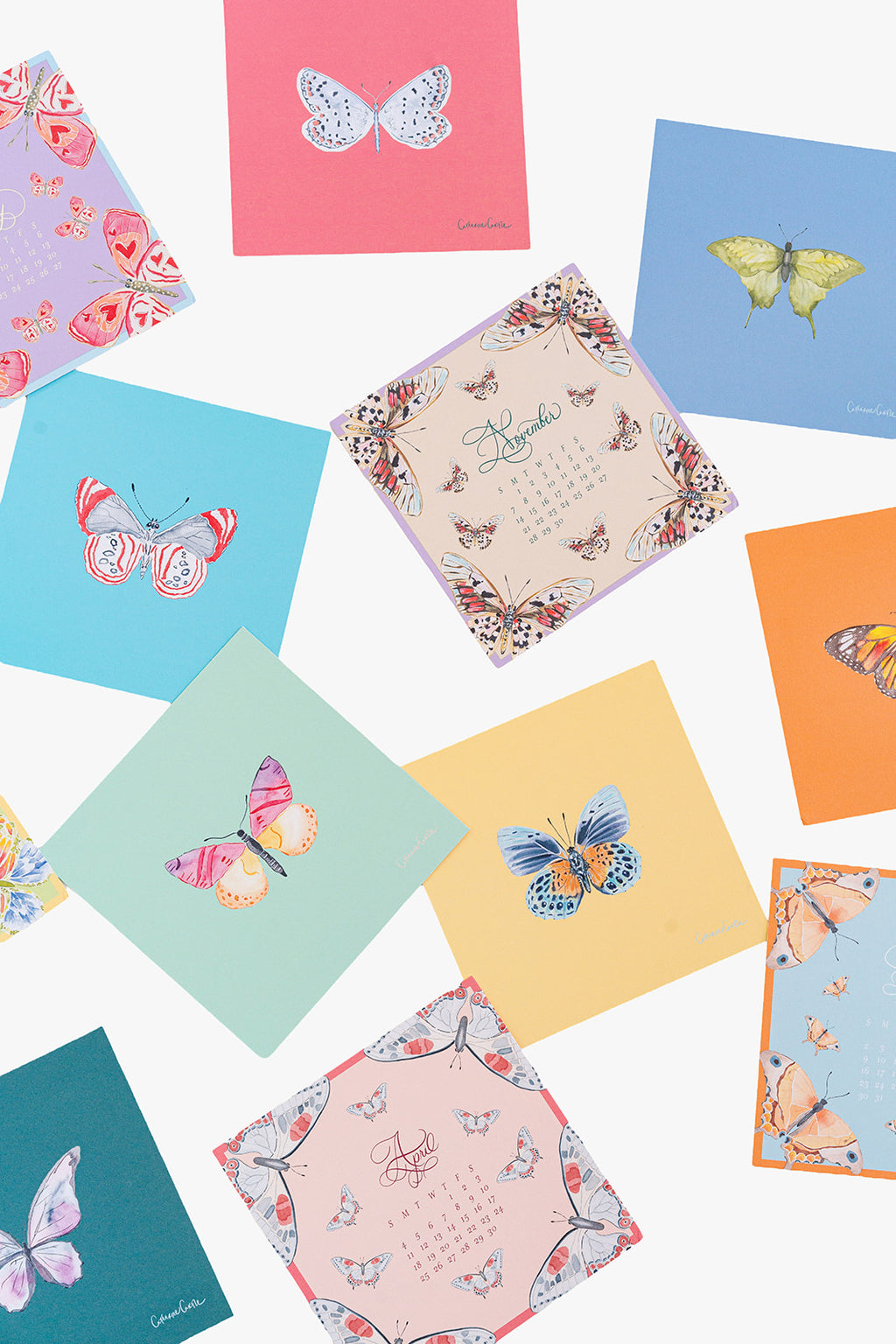 2027 Butterflies Calendar