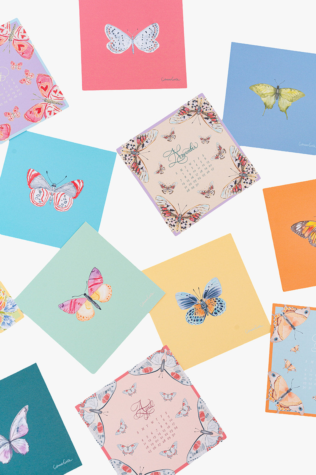 2027 Butterflies Calendar