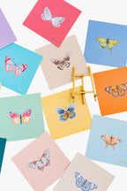 2027 Butterflies Calendar