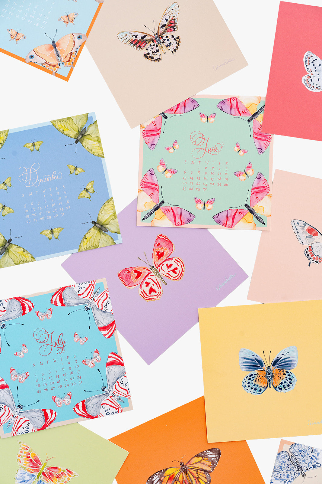 2027 Butterflies Calendar