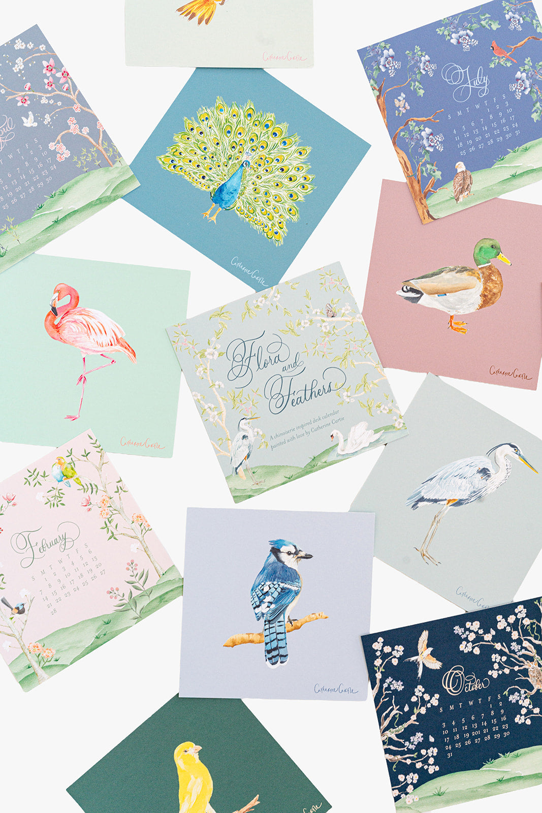 2027 Bird Calendar