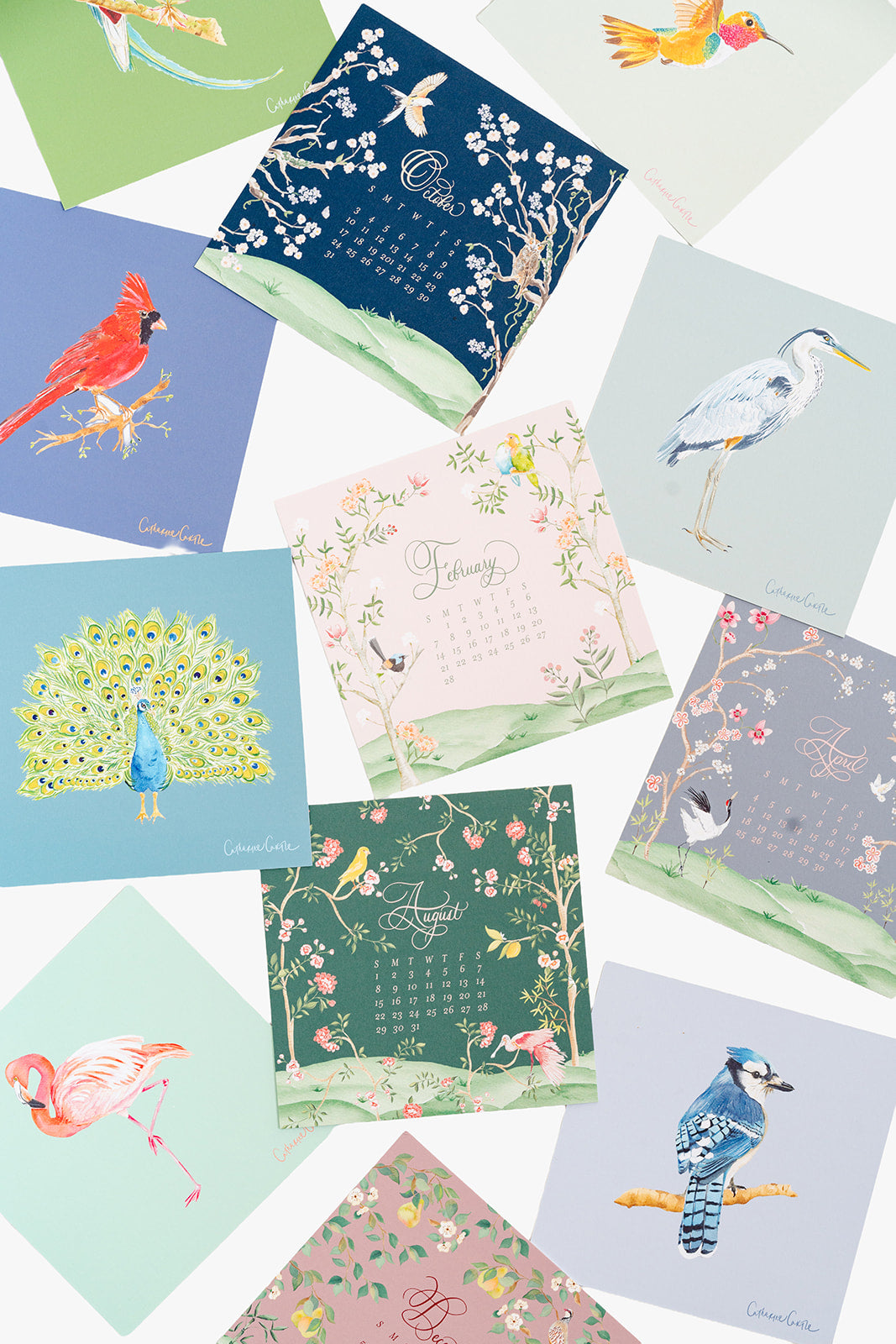 2027 Bird Calendar