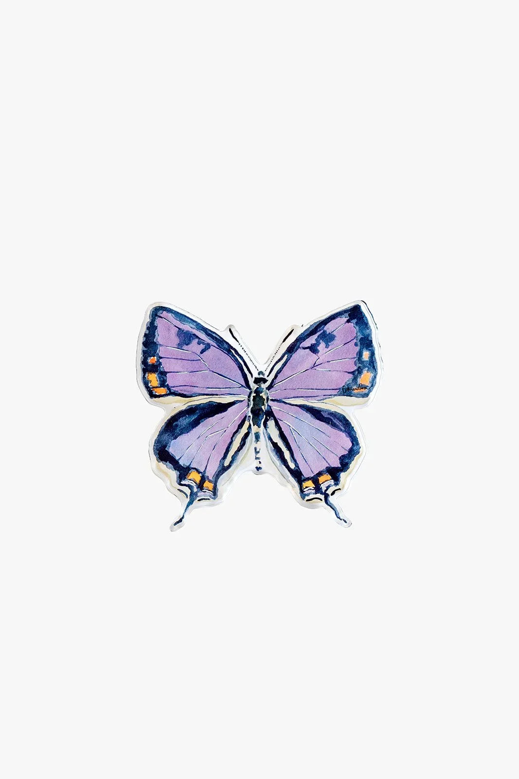 Colorado Hairstreak Butterfly Acrylic Art Block Large