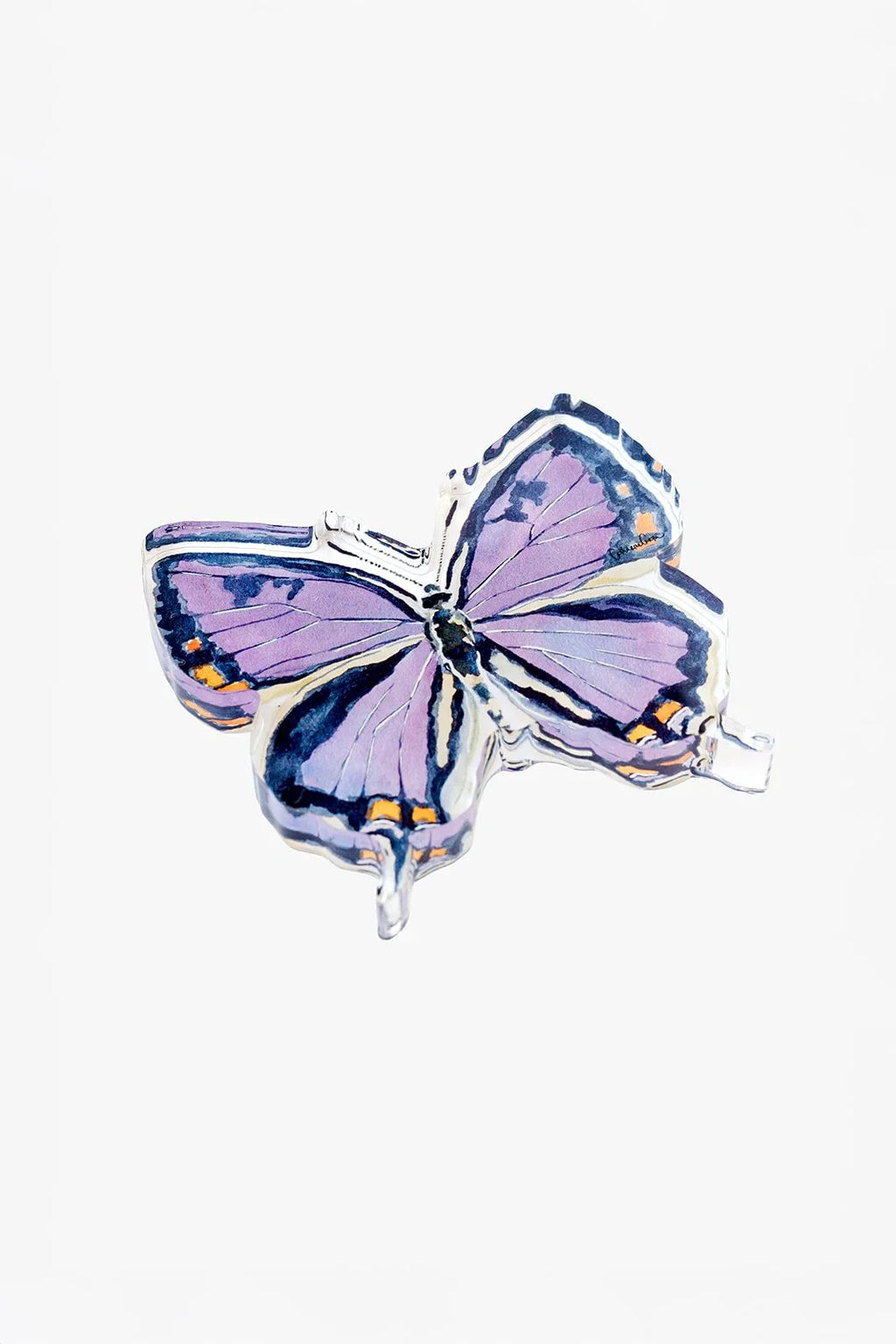 Colorado Hairstreak Butterfly Acrylic Art Block Small