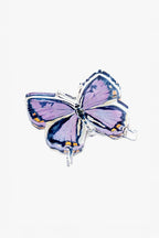 Colorado Hairstreak Butterfly Acrylic Art Block Large