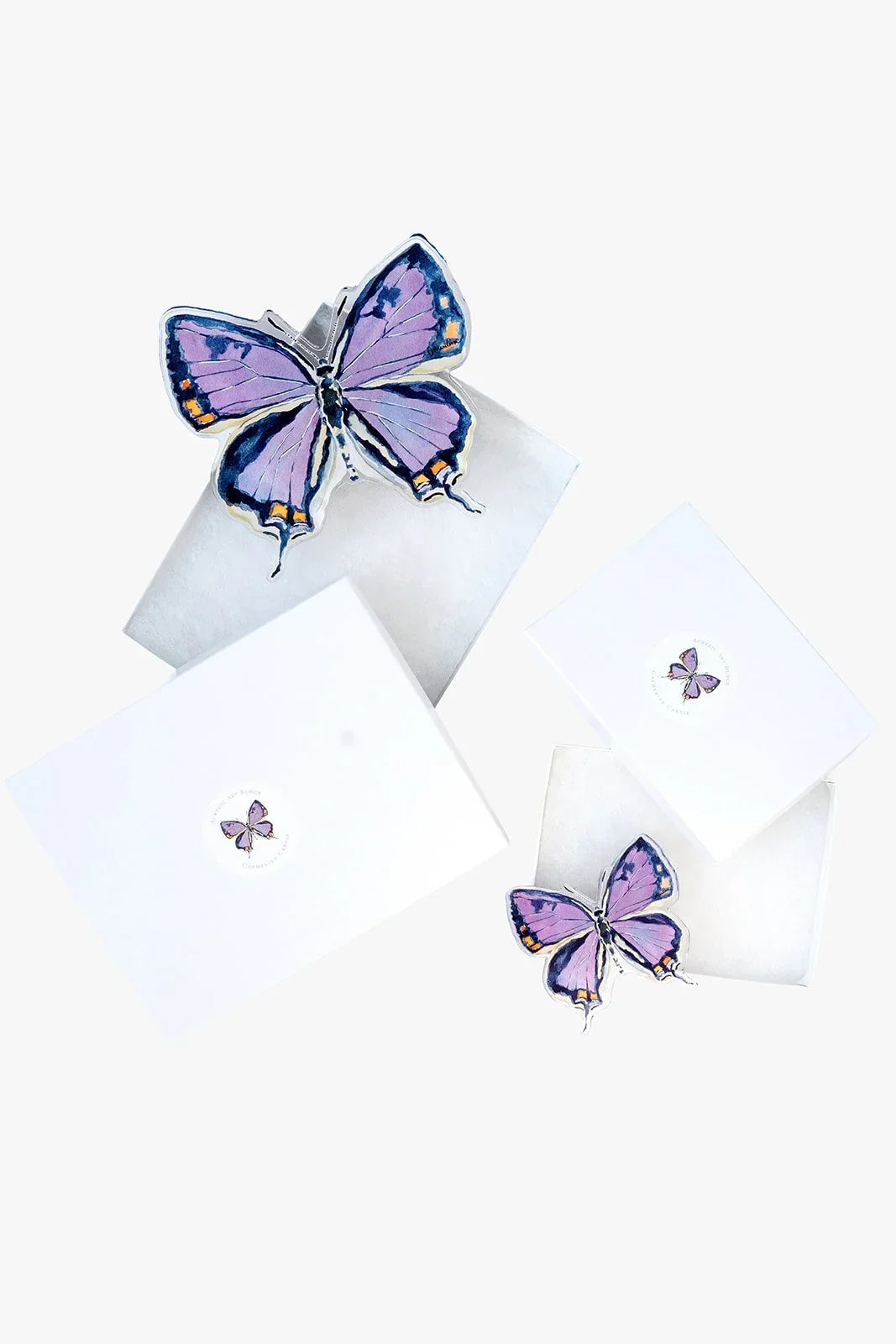 Colorado Hairstreak Butterfly Acrylic Art Block Large