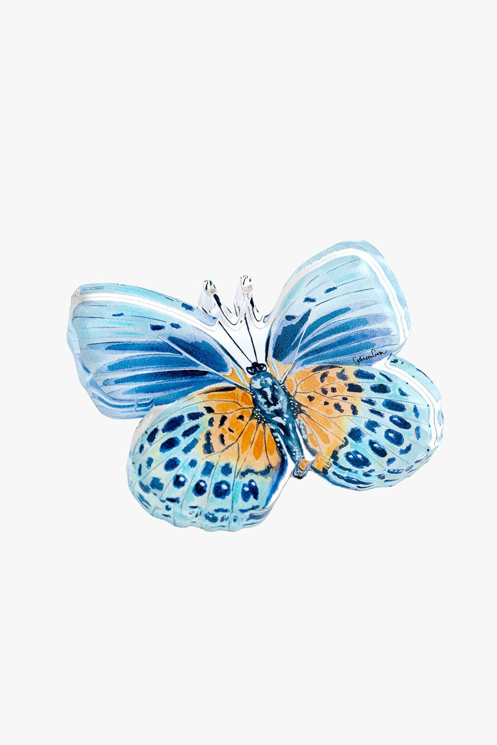 Autumn Blue Butterfly Acrylic Art Block Small