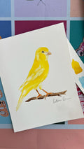Canary - Original Painting