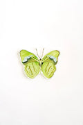 Green Butterfly Acrylic Art Block Large