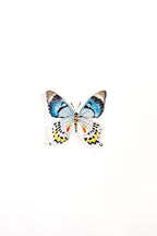 Blue Multi Butterfly Acrylic Art Block Large