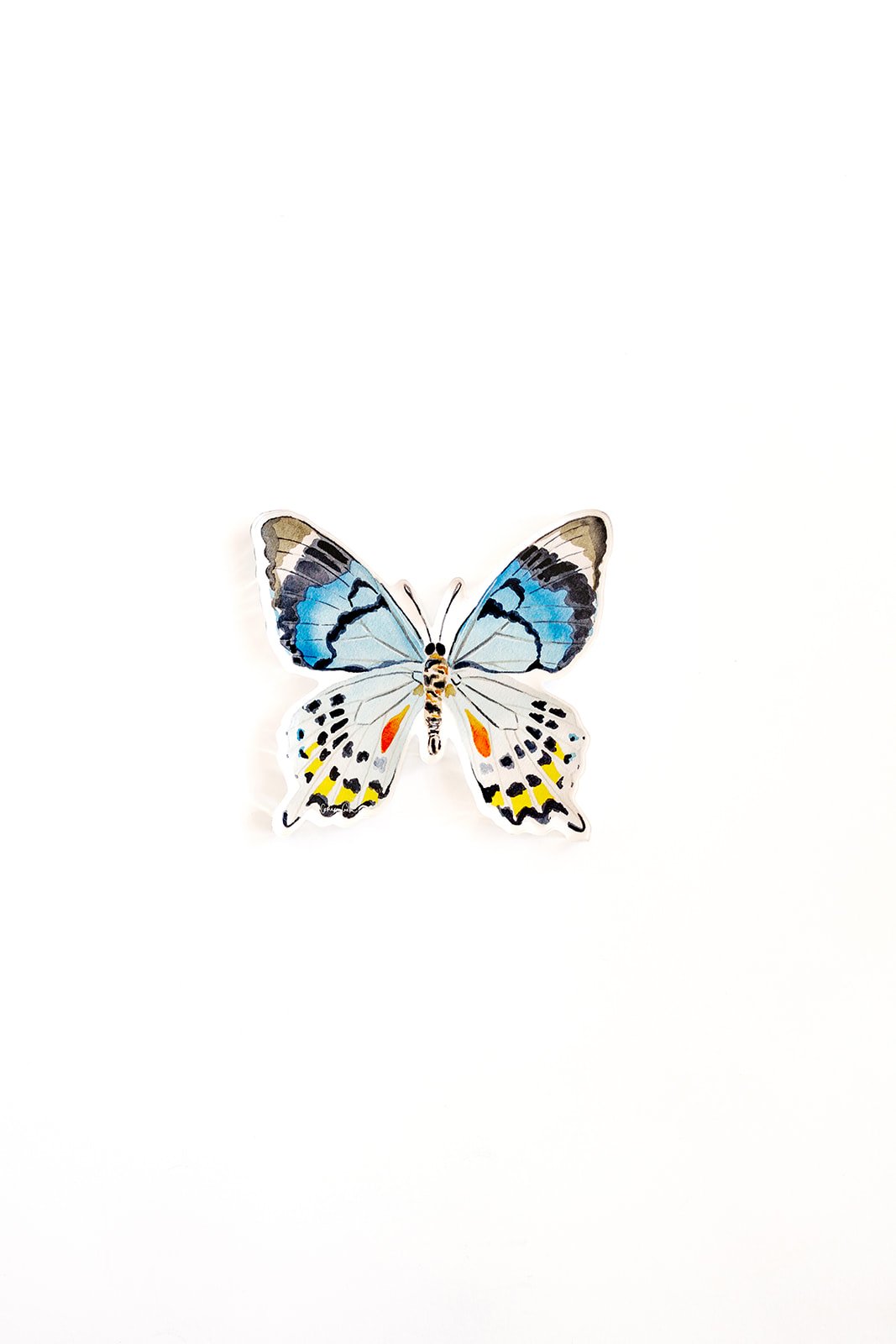 Blue Multi Butterfly Acrylic Art Block Large