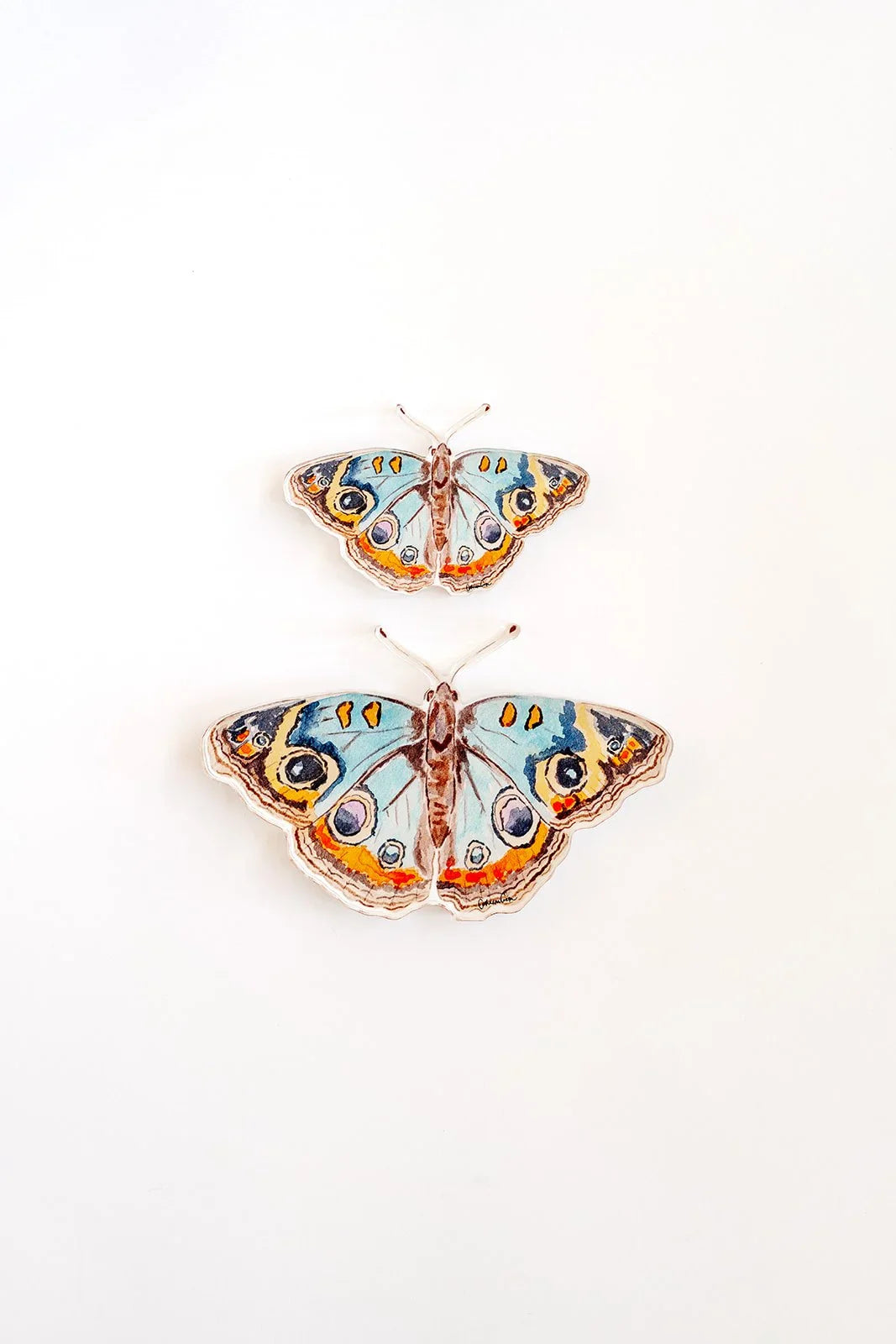 Blue and Orange Butterfly Acrylic Art Block Small