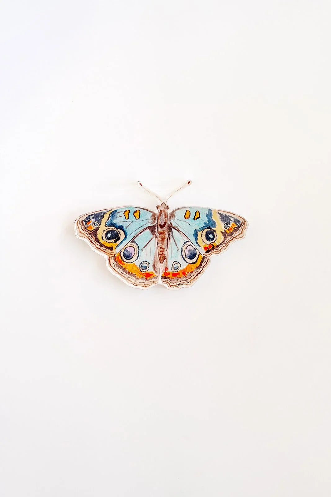 Blue and Orange Butterfly Acrylic Art Block Small