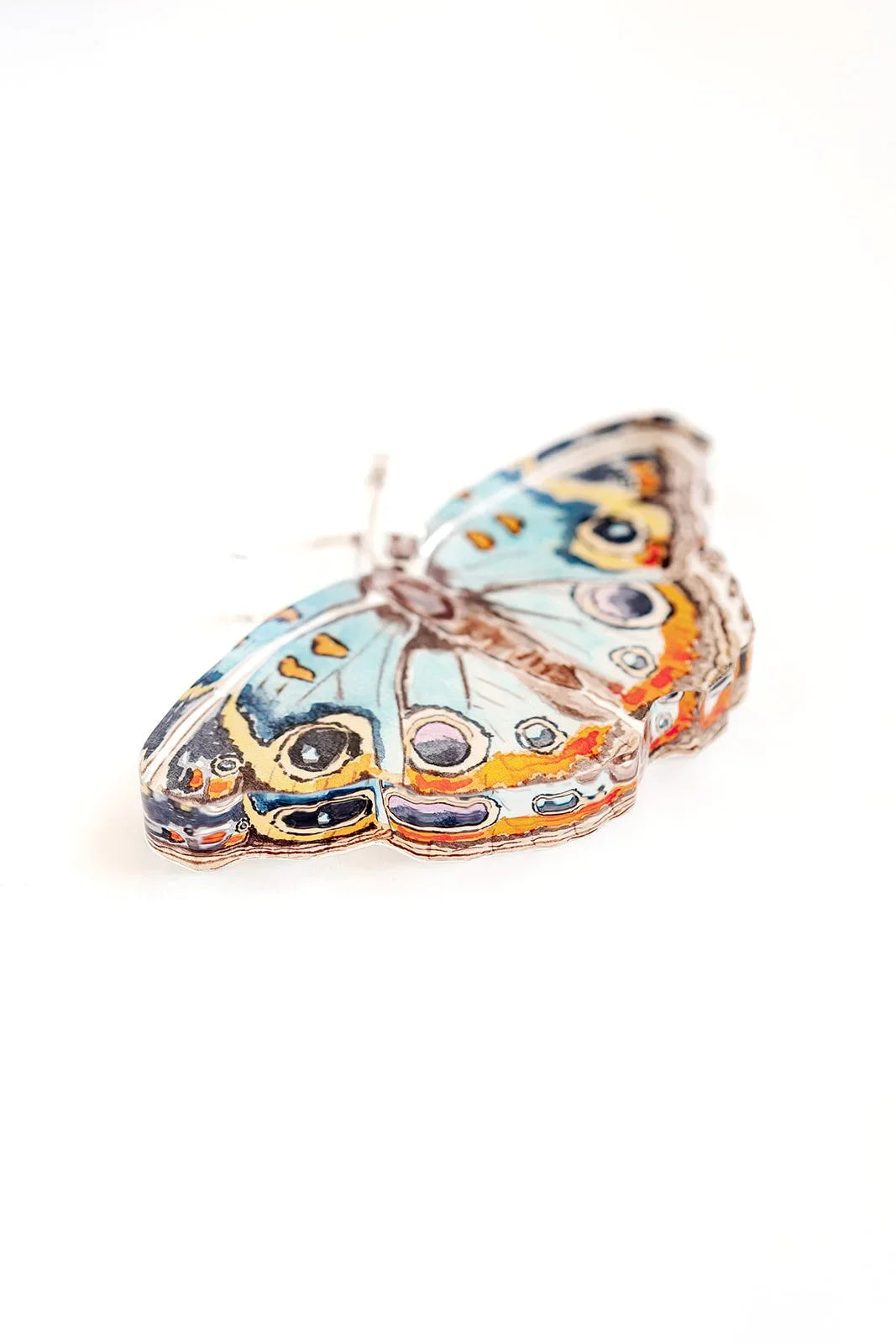 Blue and Orange Butterfly Acrylic Art Block Large