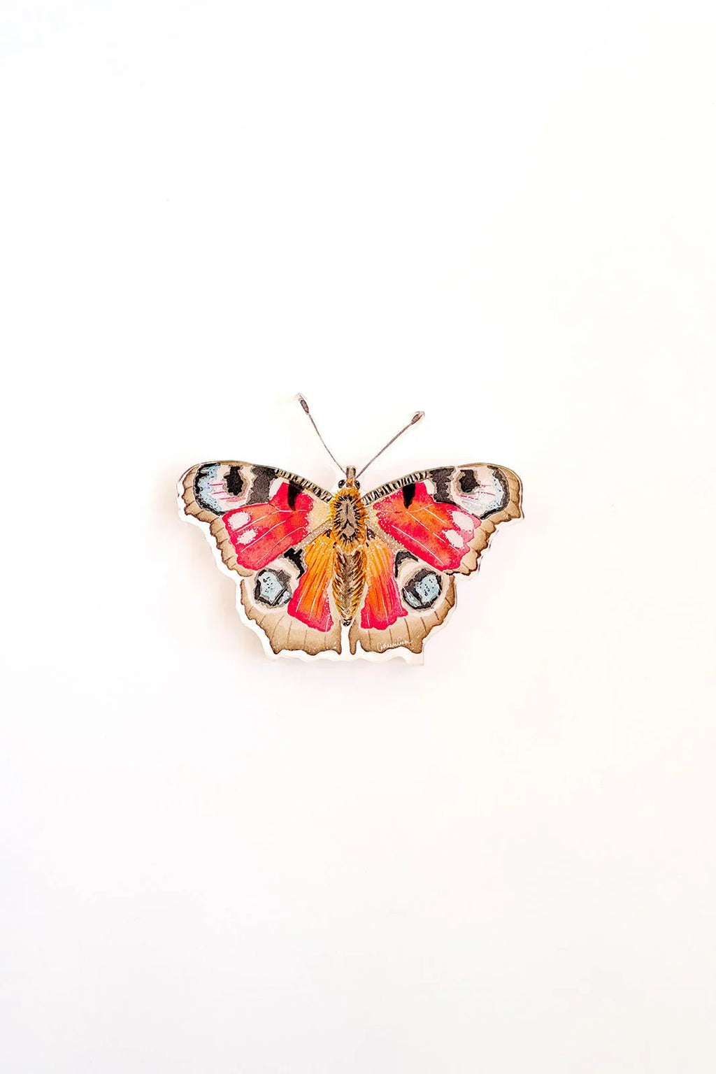 Peacock Butterfly Acrylic Art Block Large