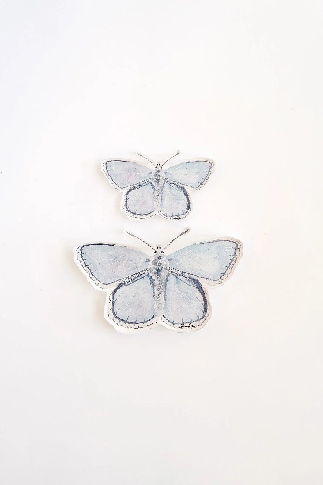 Blue Butterfly Acrylic Art Block Small
