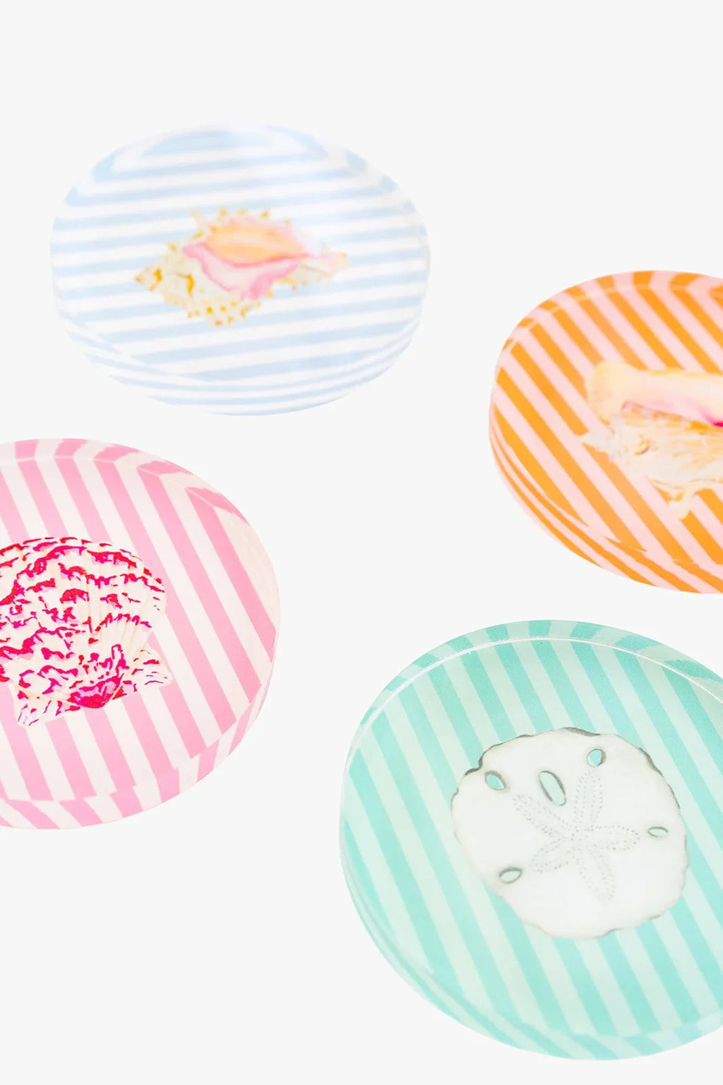 Acrylic Seashell Coaster Set