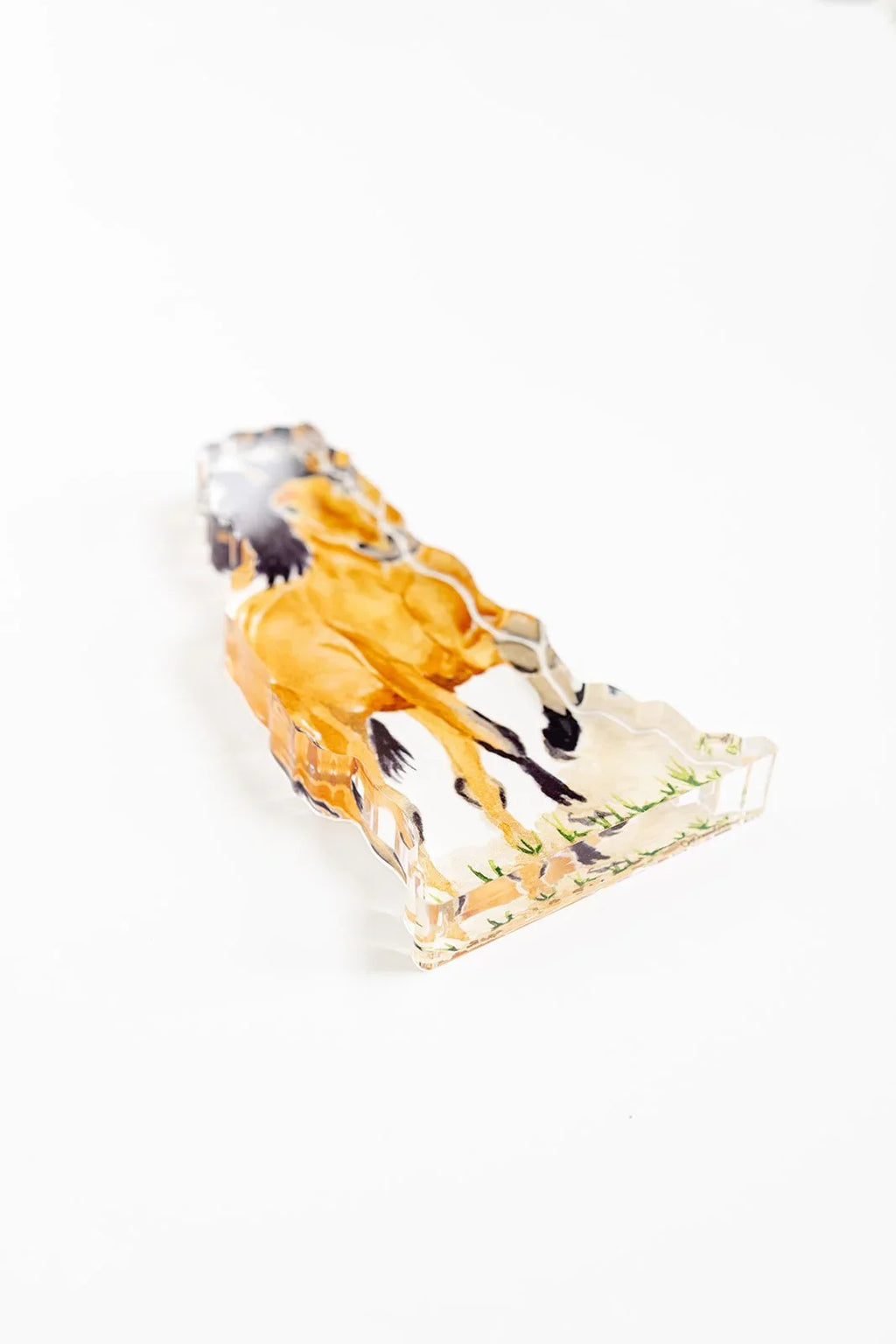 Wild Mustang Acrylic Art Block