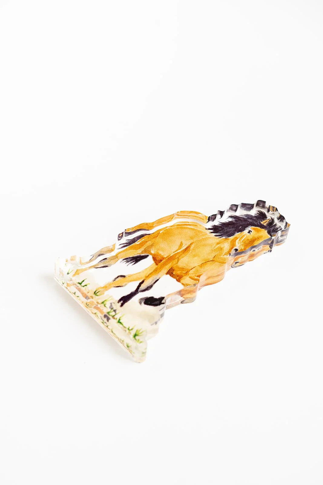 Wild Mustang Acrylic Art Block