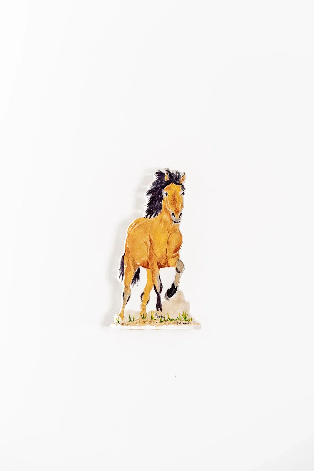 Wild Mustang Acrylic Art Block