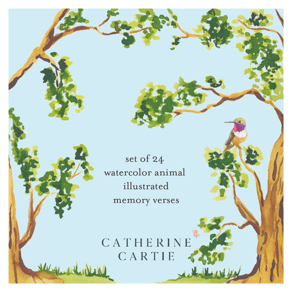 Kid's Scripture Cards