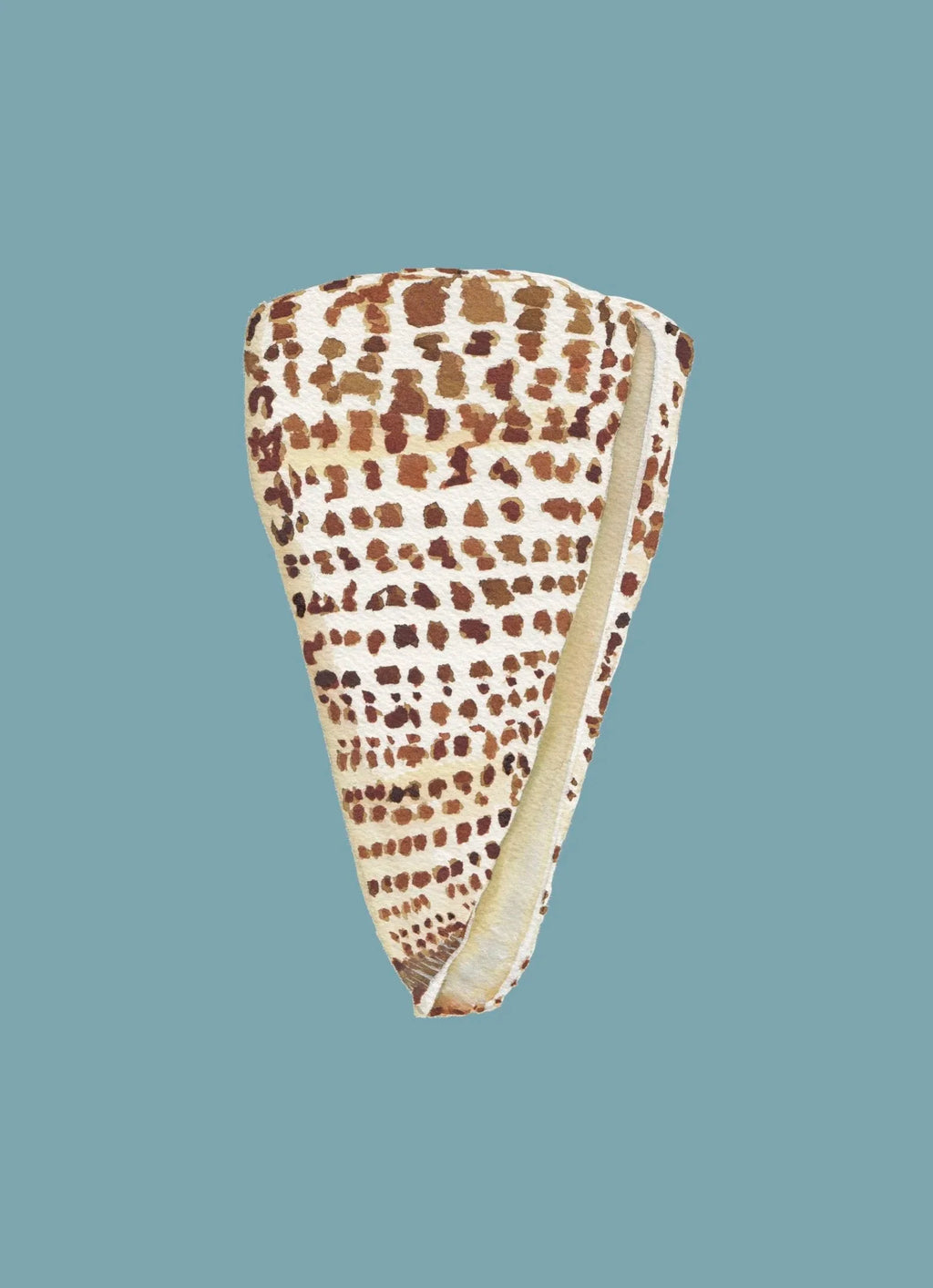 Cone Shell Art Print Colorful 5x7