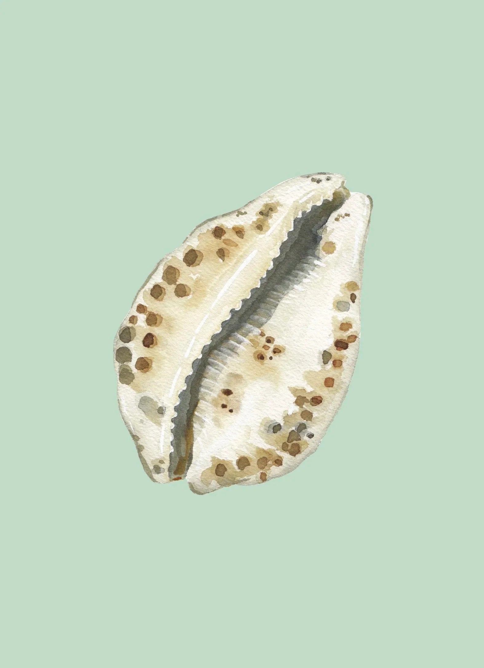 Cowrie Art Print Colorful 5x7