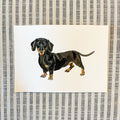 Dachshund Original Painting 8x10