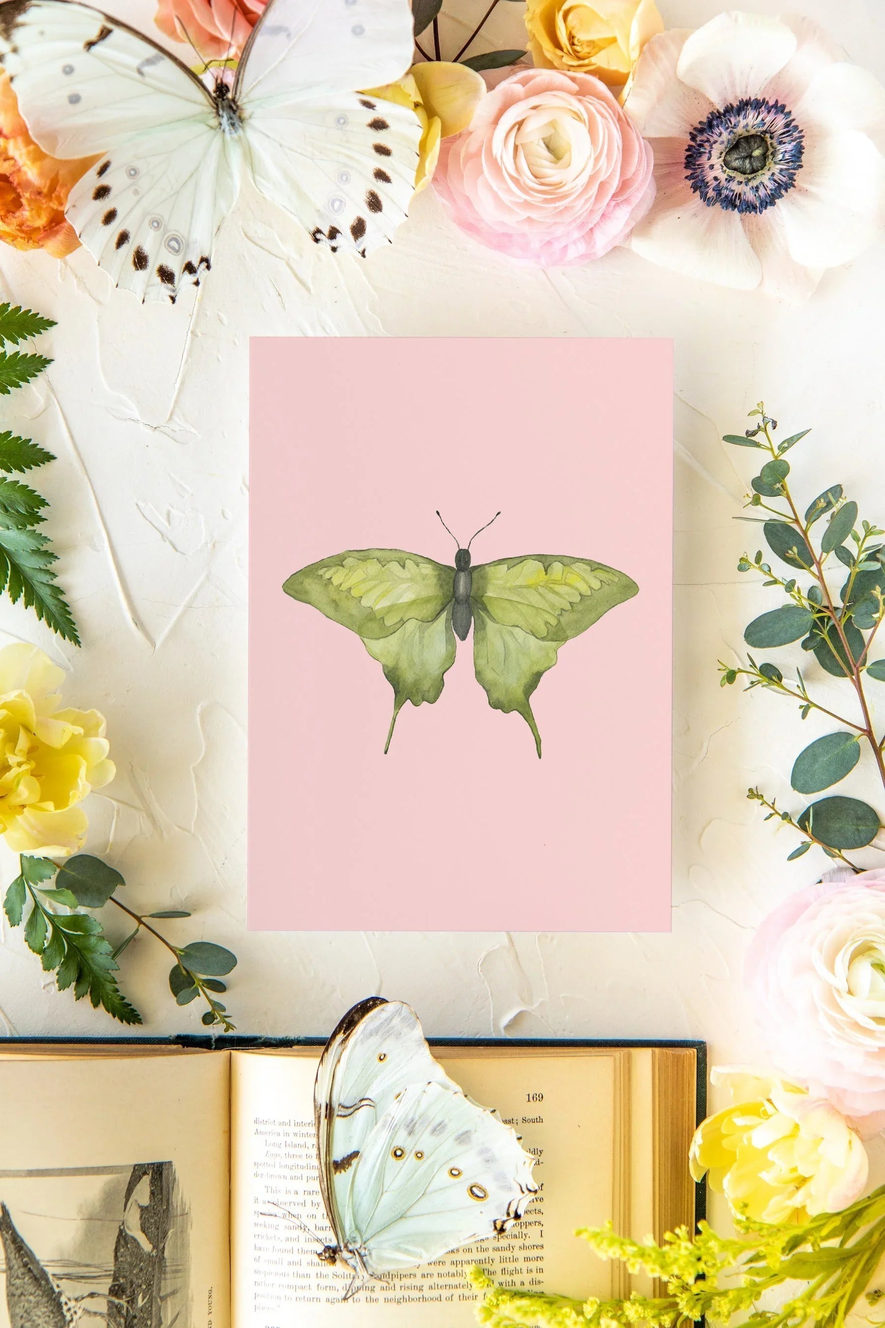 December 2 Butterfly Print 5x7