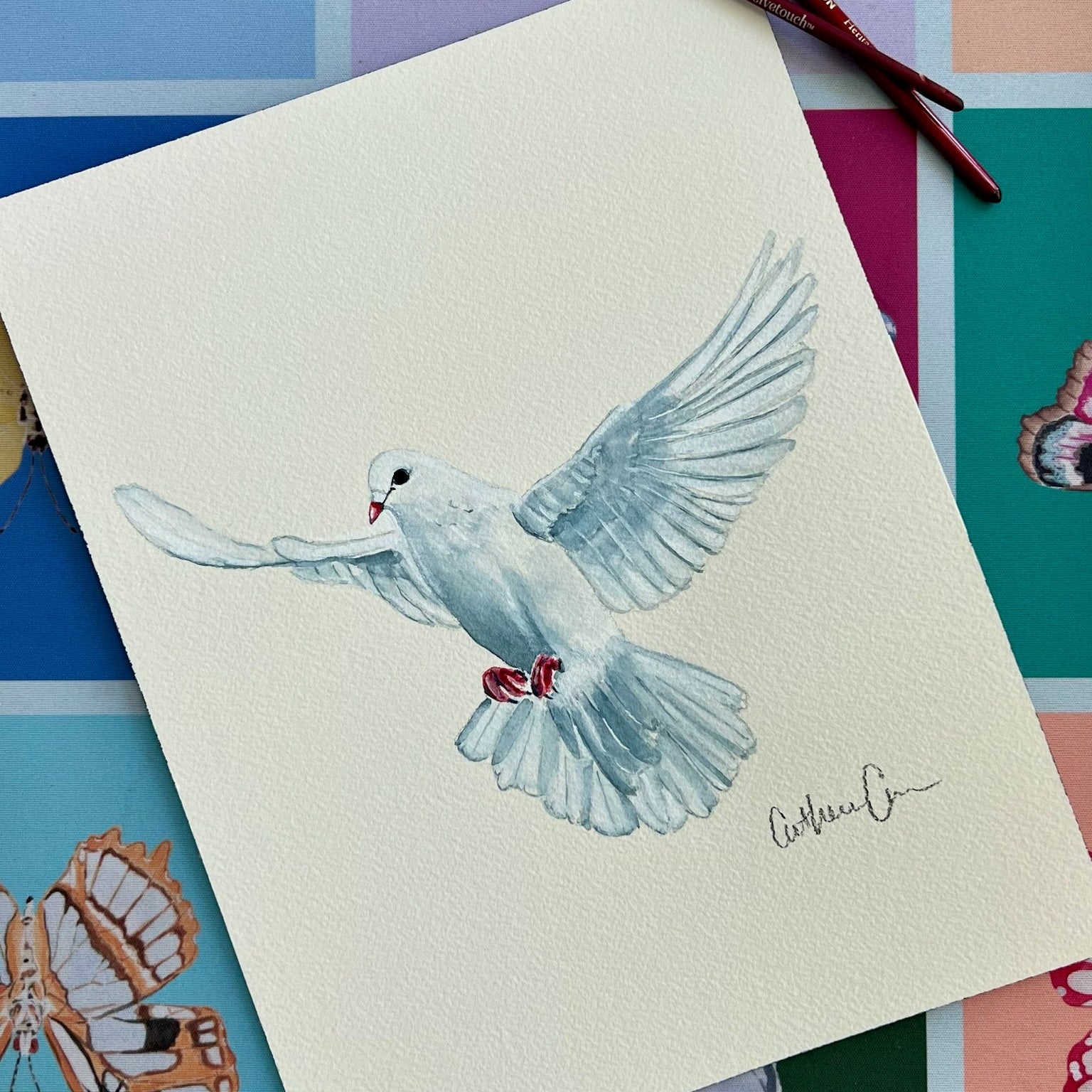 Dove - Original Painting