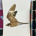 Falcon - Original Painting