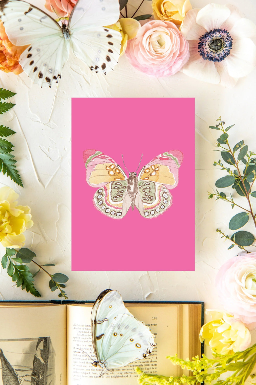 February Butterfly Print 2 5x7