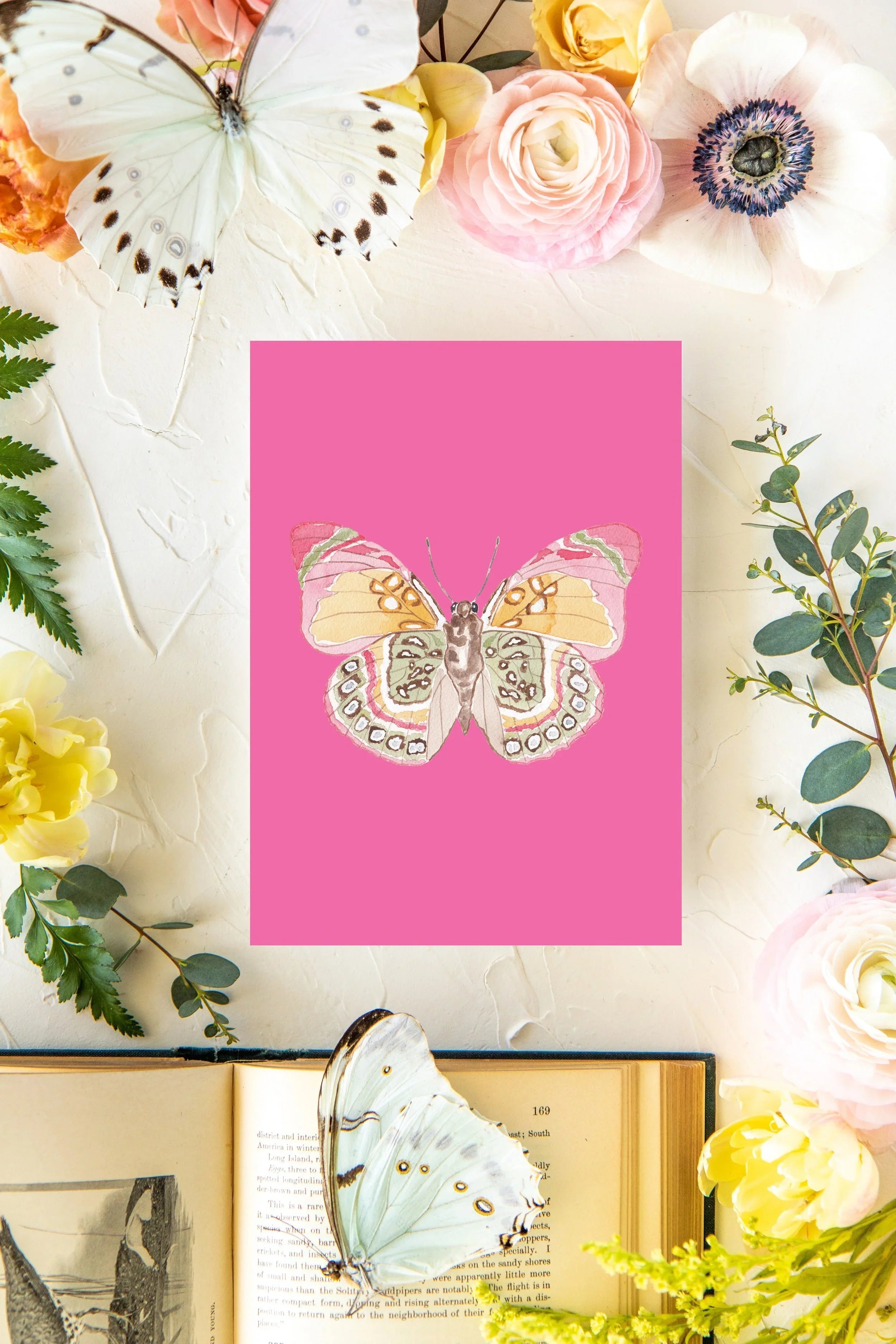 February Butterfly Print 2 5x7
