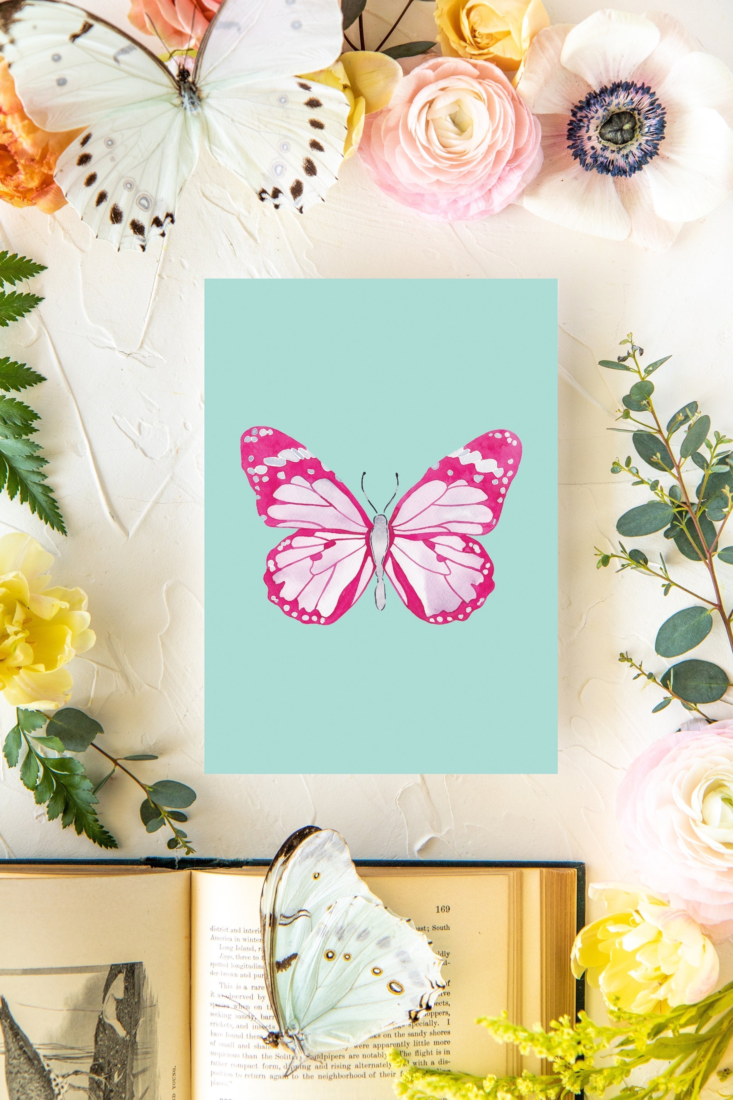 February Butterfly Print 5x7