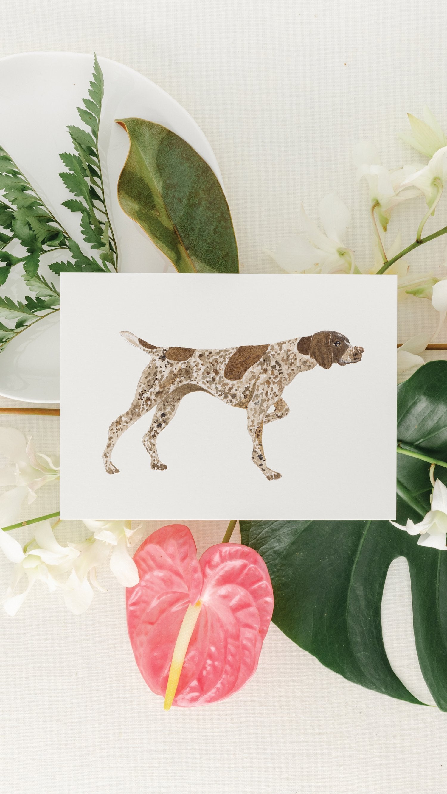 German Shorthaired Pointer Art Print