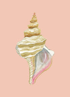 Horse Conch Art Print Colorful 5x7