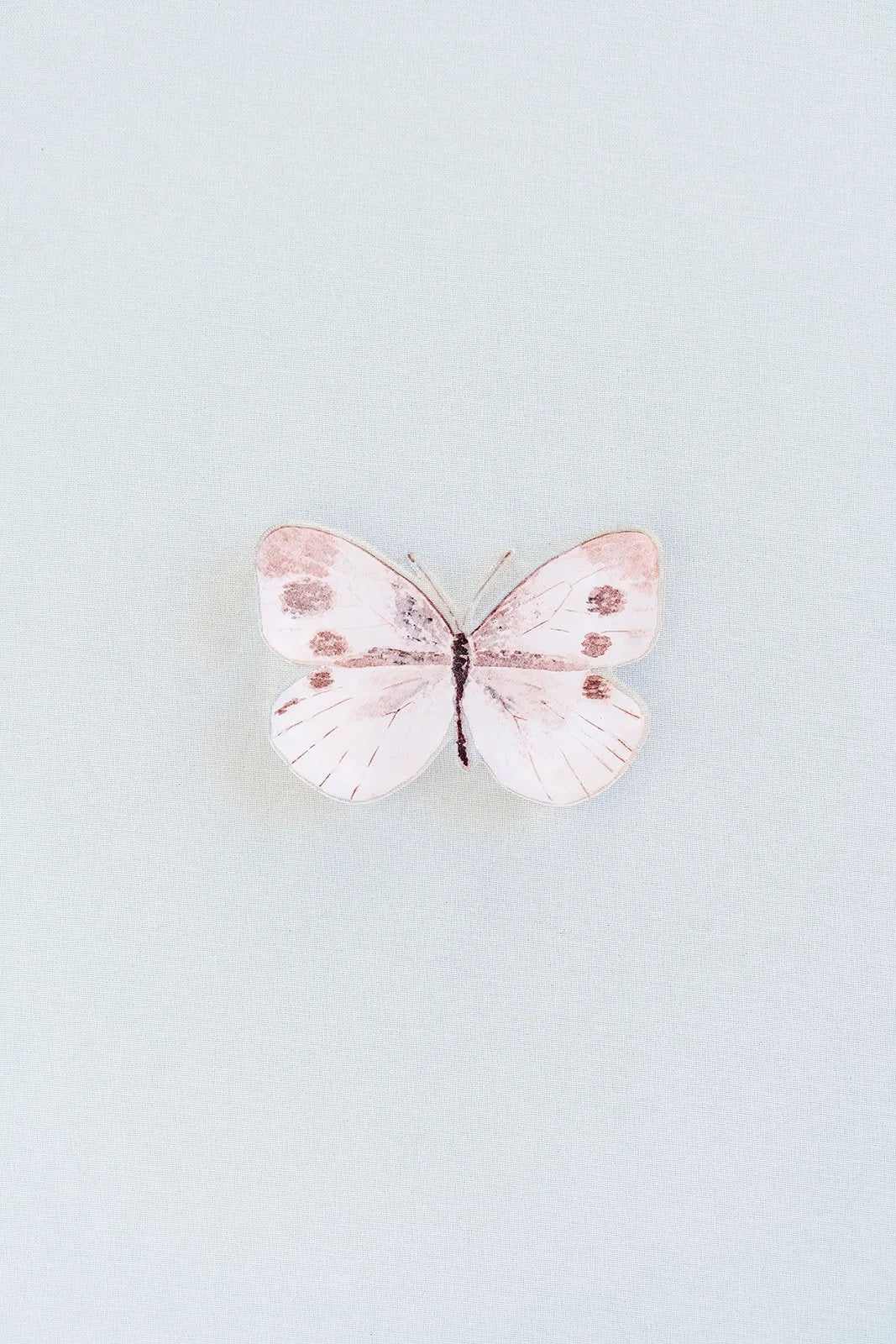 Neutral Butterfly Acrylic Art Block Small