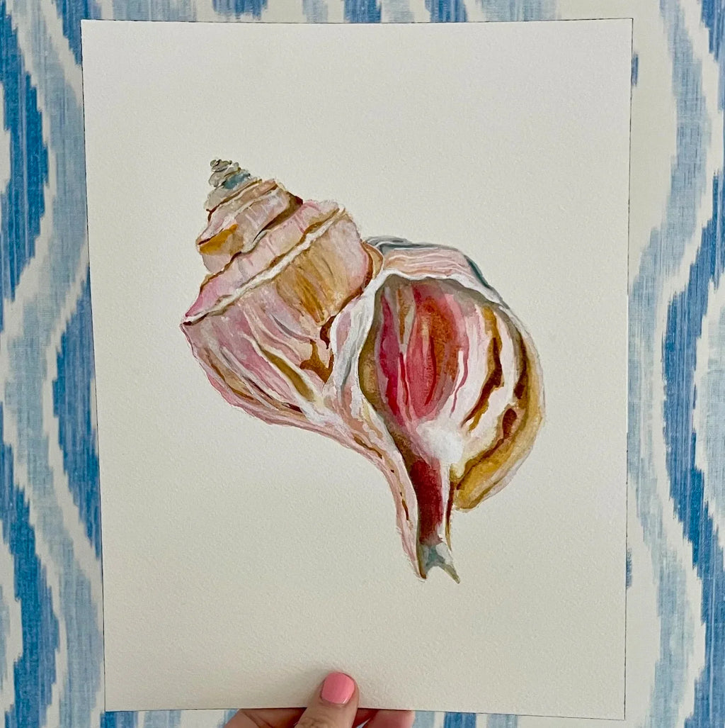 Channeled Whelk Art Print 8x10